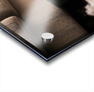 Brown Yorkshire Terrier Puppy Hiding Under Couch After Mess Acrylic print