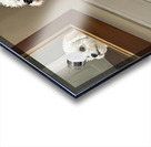 Curious White Bichon Frise Puppy Discovers Mirror For First Time Acrylic print