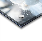 White Bichon Frise Puppy Discovers Fresh Snow In Winter Yard Acrylic print