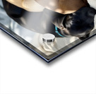 Sleepy Brown Dachshund Puppy Cuddling With Tired Siblings Acrylic print