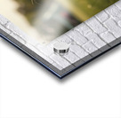 Beagle Puppy Discovers The Fun Rope Toy Acrylic print