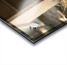 Pug Puppy Settles Comfortably With Sleeping Friends Acrylic print