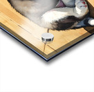 Siberian Husky Puppy Basking In Golden Sunlight Acrylic print