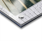 An adorable black and tan Rottweiler puppy stands curiously at a window Acrylic print