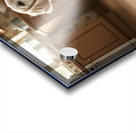 Hopeful Puppy After Kitchen Adventure Ends Acrylic print