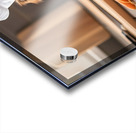 Shih Tzu Puppy Chef Ready To Cook Acrylic print