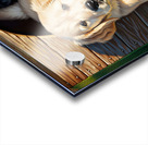 Golden Retriever Puppy Enters Crowded Doghouse Acrylic print