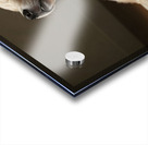 Golden Retriever Puppy Fast Asleep Sitting Upright Acrylic print