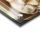 Golden Retriever Puppy Finds Comfort With Mother Acrylic print