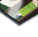 White Bichon Frise Puppy Peeking Through Wooden Fence Acrylic print