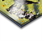 Boston Terrier Puppy Plays Near Beautiful Sunflower Acrylic print