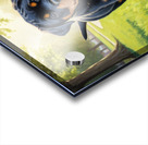 Young Rottweiler Puppy Explores The Park Alone Acrylic print