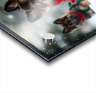 German Shepherd Puppys First Snow Day Adventure Acrylic print