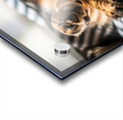 German Shepherd Puppy Waking Up From Nap Acrylic print