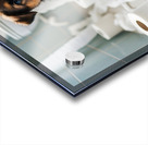 German Shepherd Puppy Discovers Bathroom Treasure Acrylic print