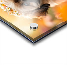 Shih Tzu Puppy Discovers Beautiful Flower Crown Acrylic print