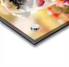 Pug Puppy Gets Ready For Special Day Acrylic print