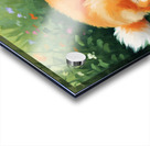 Satisfied Pomeranian Puppy After Playtime Acrylic print