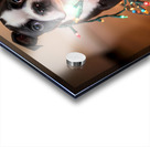 Boston Terrier Puppy Discovers Sparkling Christmas Lights Acrylic print