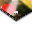 Pomeranian Puppy Discovers Floating Red Balloon Acrylic print