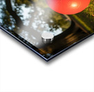 Exhausted BulldogPuppy Rests By Giant Ball Acrylic print