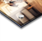 Bulldog Puppy Discovers New Plush Rabbit Friend Acrylic print