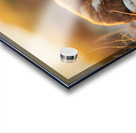 Bulldog Puppy Naps In Sandy Bed Acrylic print