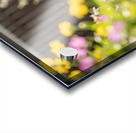 Dachshund Puppy Ready For Adventure In Red Toy Car Acrylic print