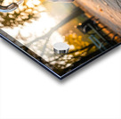 Dachshund Puppy Discovers Water Fountain Acrylic print