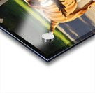 Happy Bulldog Puppy Successfully Brings Stick To Dog House Acrylic print