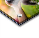 Border Collie Puppy Feeling Sleepy After Ear Scratches Acrylic print