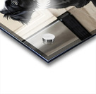 Border Collie Puppy Anticipates Delicious Treat Acrylic print