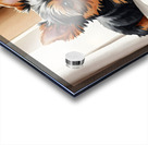 Contented Puppy Relaxes By Rainy Window Acrylic print