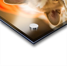 Sleepy Corgi Puppy Rests After Halloween Costume Adventure Acrylic print