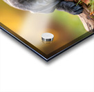 Content Cane Corso Puppy Rests On Stick Pillow Acrylic print