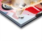 Clean Corgi Puppy After Successful Car Wash Acrylic print