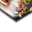 Happy Corgi Puppy Enjoys New Plush Toy Friend Acrylic print