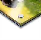 Cane Corso Puppy Discovers Sweet Ice Cream Treat Acrylic print