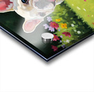 French Bulldog Puppy Running In Sunny Yard Acrylic print