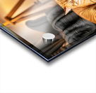 German Shorthaired Pointer Puppy Meets Sleepy Cat Acrylic print