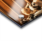 German Shorthaired Pointer Puppy Eyes The Big Challenge Acrylic print