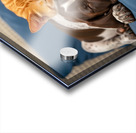 Puppy And Cat Snuggle Together Peacefully Acrylic print