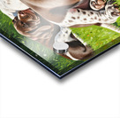 Tired German Shorthaired Pointer Puppy After Playing Acrylic print