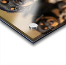 Rottweiler Puppy Feels Refreshed And Happy Acrylic print