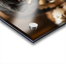 Rottweiler Puppy Spots The Water Bowl Acrylic print