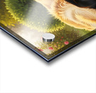 Sleepy Puppy Rests Safely Between Big Dogs Protective Paws Acrylic print