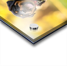 Free Rottweiler Puppy Wags Tail With Joy Acrylic print