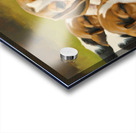 Beagle Puppy Rests After Energetic Play Session Acrylic print