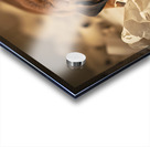 Exhausted Bulldog Puppy After Paper Battle Acrylic print