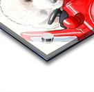 Sleepy Poodle Puppy Rests After Exciting Car Adventure Acrylic print